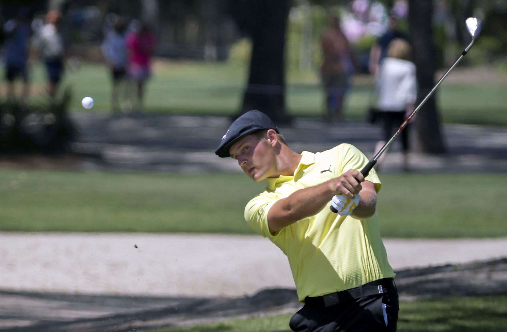 RBC Heritage Golf